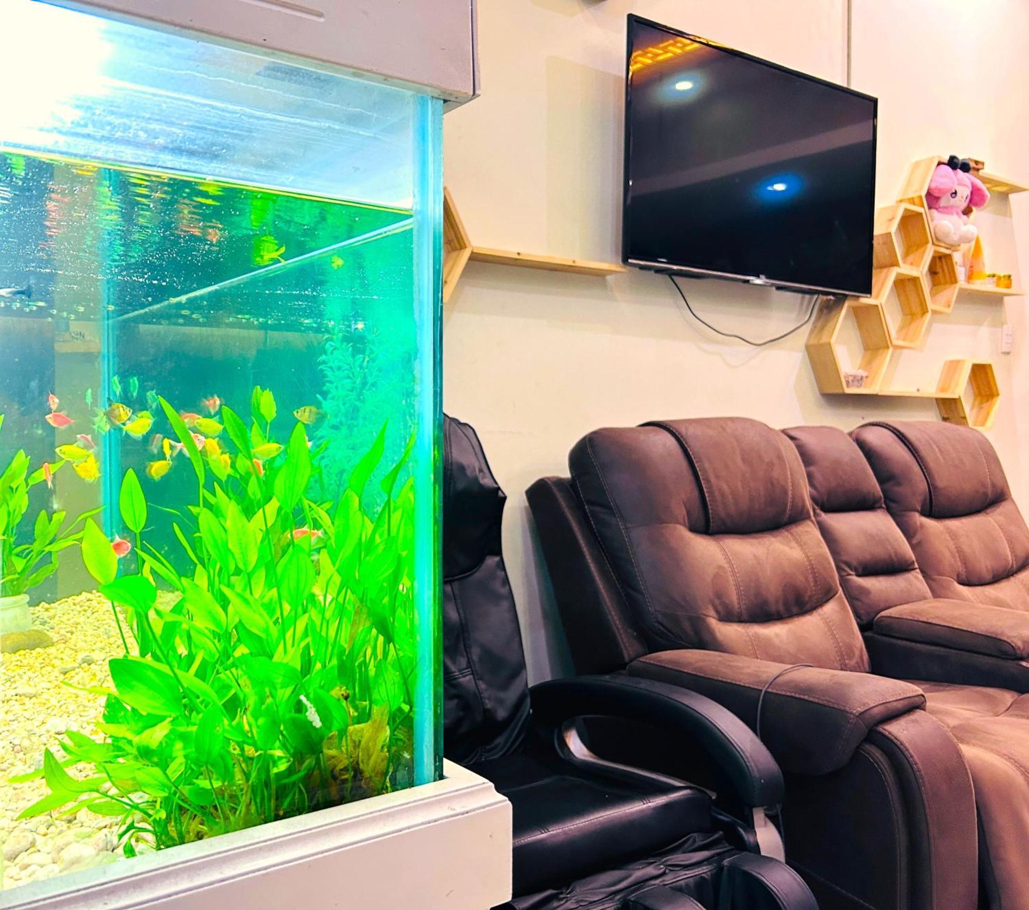 Tnh Hotel ブンタオ エクステリア 写真